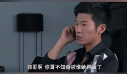 来个在线观看,揭秘在线观看的便捷之旅